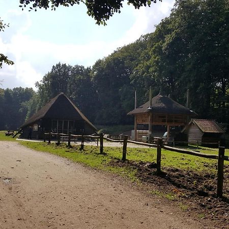 Reewold Veluwe Villa Putten Exteriör bild