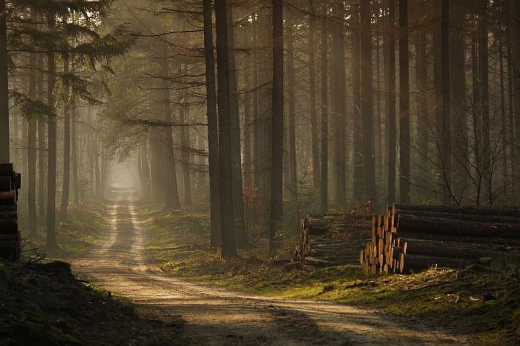 Reewold Veluwe Villa Putten Exteriör bild