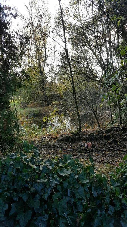 Reewold Veluwe Villa Putten Exteriör bild