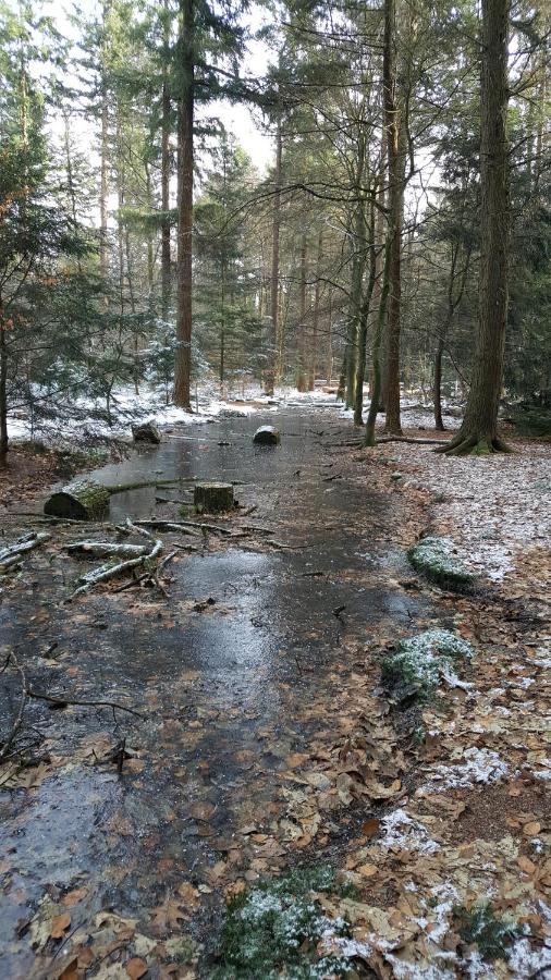 Reewold Veluwe Villa Putten Exteriör bild