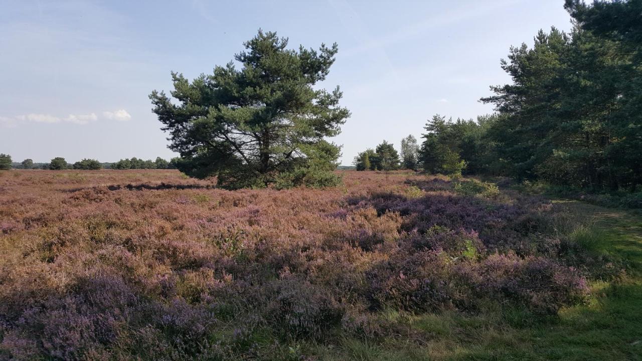 Reewold Veluwe Villa Putten Exteriör bild