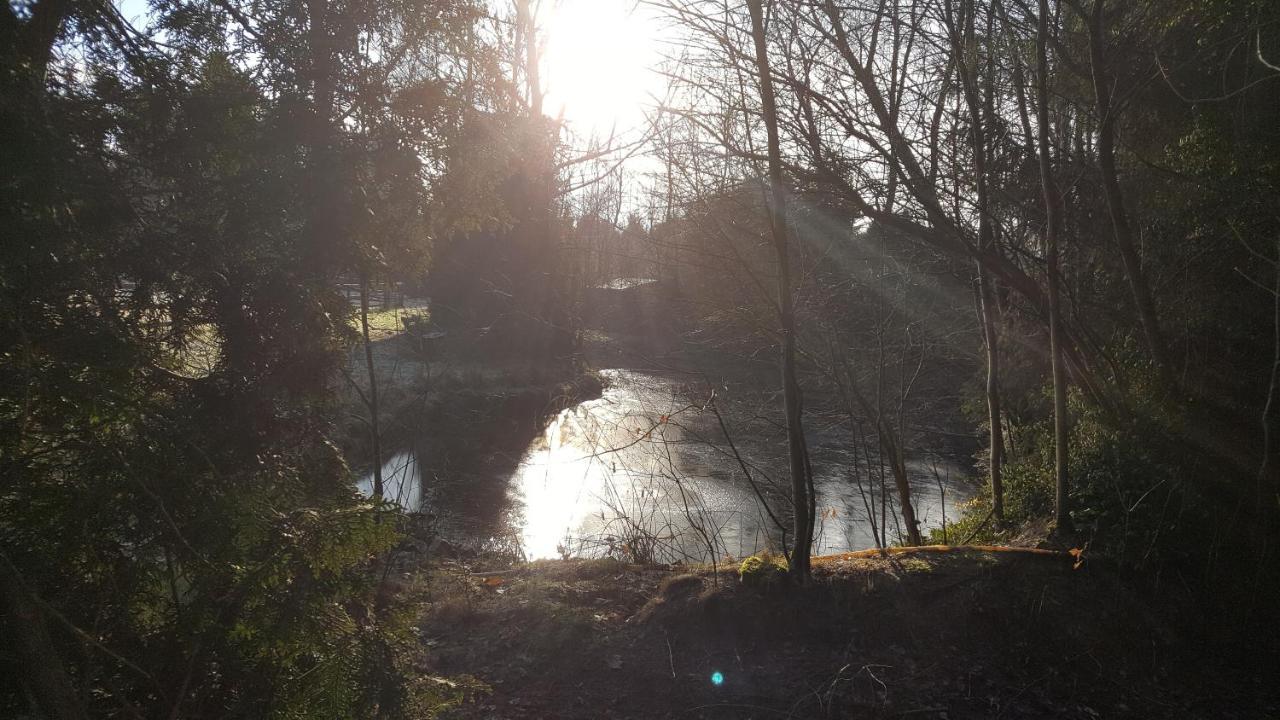 Reewold Veluwe Villa Putten Exteriör bild