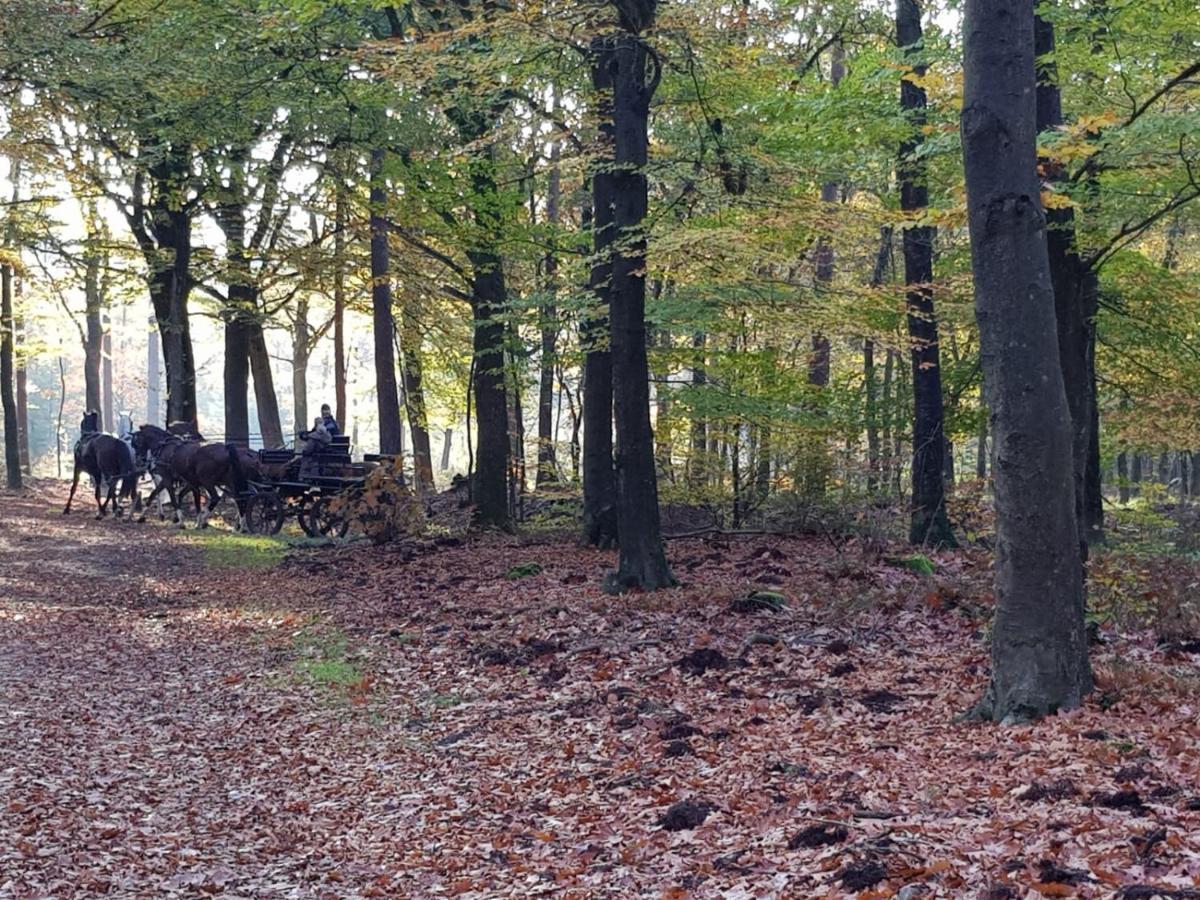 Reewold Veluwe Villa Putten Exteriör bild