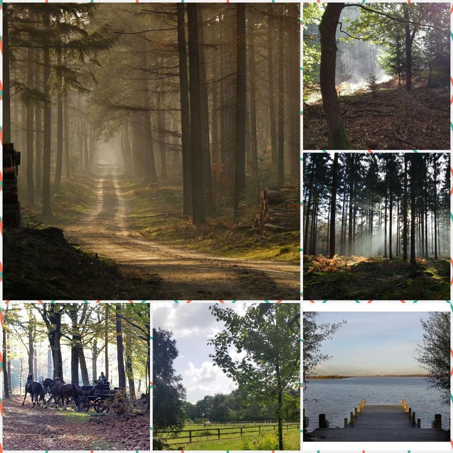 Reewold Veluwe Villa Putten Exteriör bild