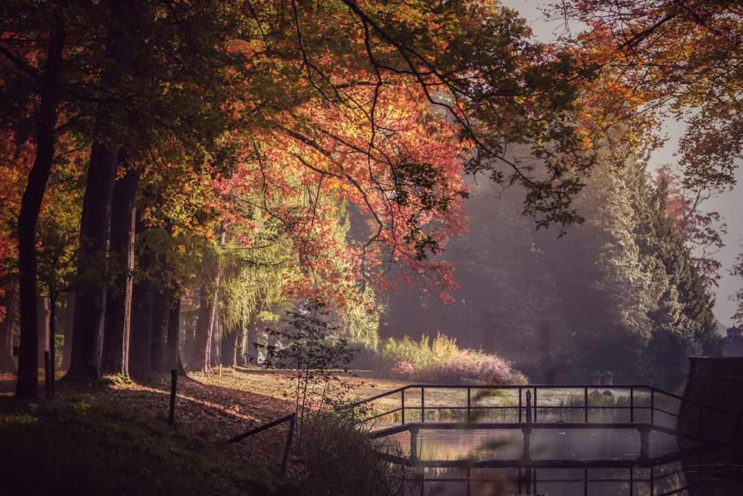Reewold Veluwe Villa Putten Exteriör bild