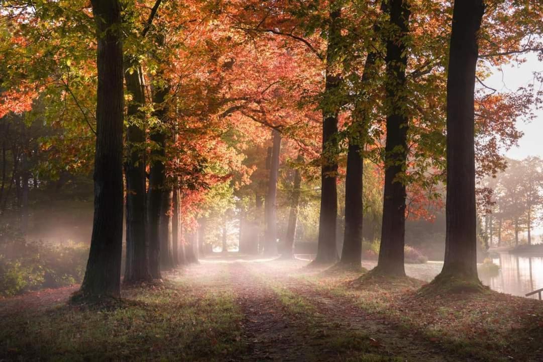Reewold Veluwe Villa Putten Exteriör bild