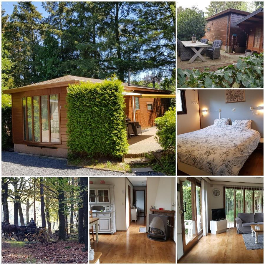Reewold Veluwe Villa Putten Exteriör bild